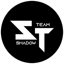 shadow team mod apk